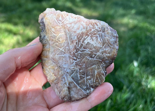 Kaily Lace Agate Lapidary Rough Rock Specimen - Mexican Agates - Lucky Calico Gem & Jewelry Co.