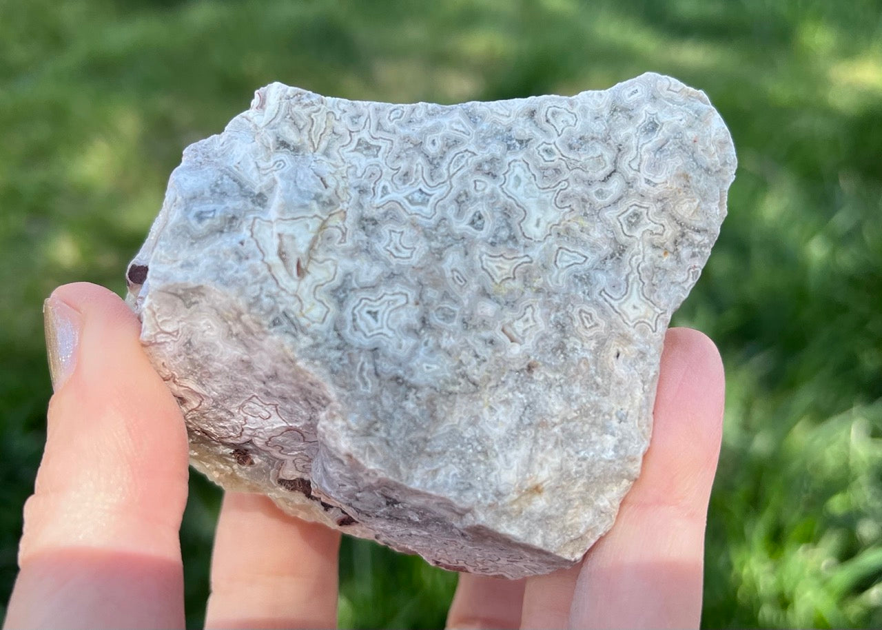 Kaily Lace Agate Lapidary Rough Rock Specimen - Mexican Agates - Lucky Calico Gem & Jewelry Co.