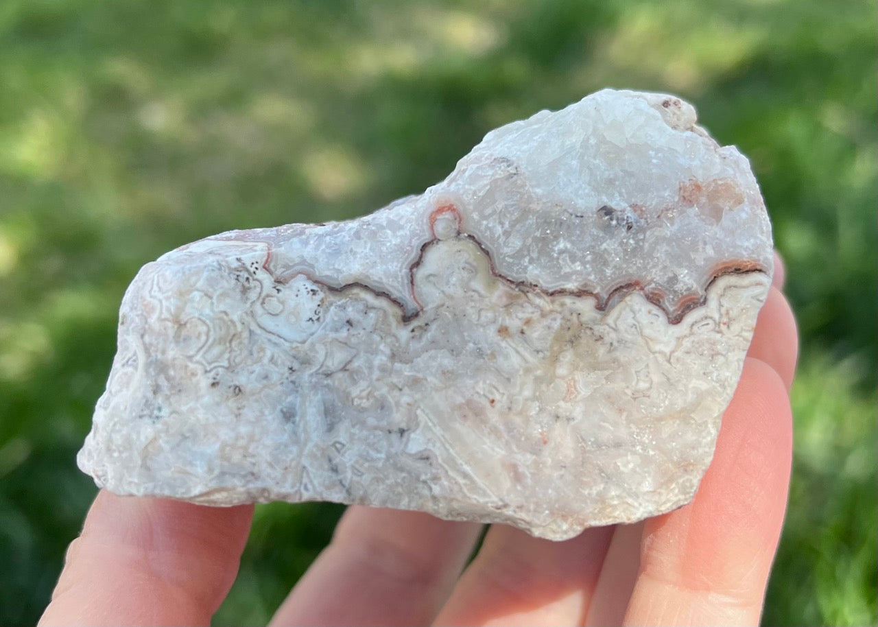 Kaily Lace Agate Lapidary Rough Rock Specimen - Mexican Agates - Lucky Calico Gem & Jewelry Co.