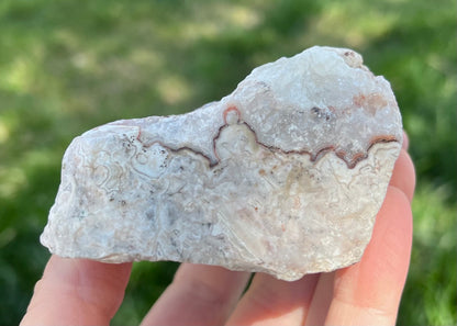 Kaily Lace Agate Lapidary Rough Rock Specimen - Mexican Agates - Lucky Calico Gem & Jewelry Co.