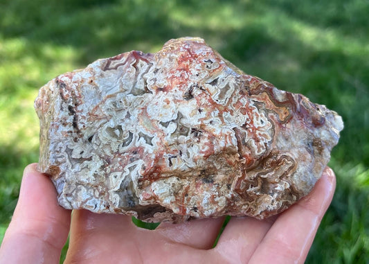 Kaily Lace Agate Lapidary Rough Rock Specimen - Mexican Agates - Lucky Calico Gem & Jewelry Co.