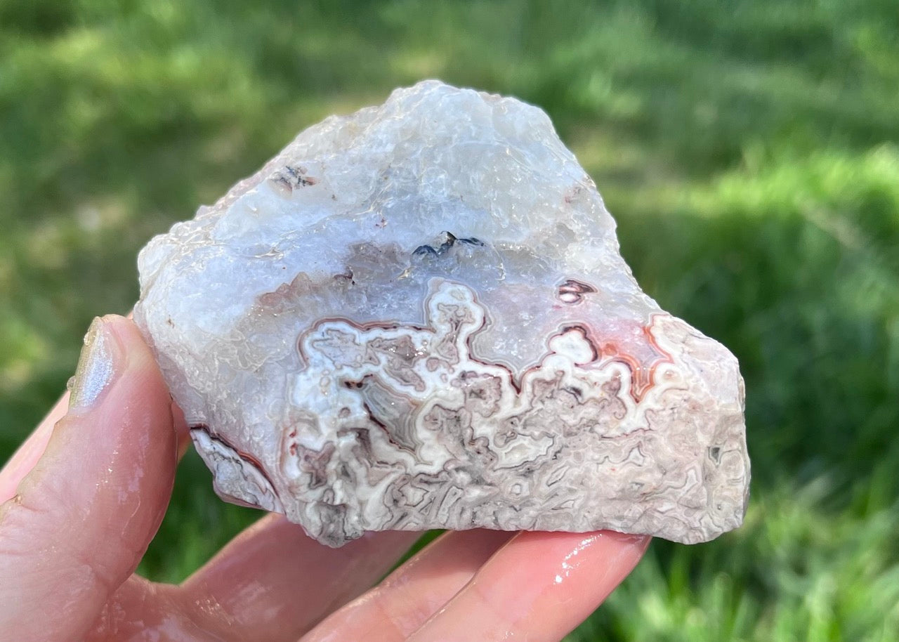 Kaily Lace Agate Lapidary Rough Rock Specimen - Mexican Agates - Lucky Calico Gem & Jewelry Co.