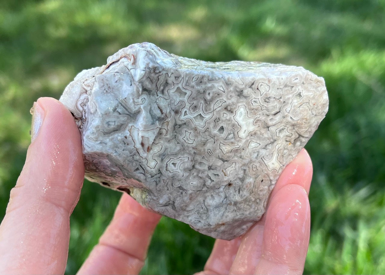 Kaily Lace Agate Lapidary Rough Rock Specimen - Mexican Agates - Lucky Calico Gem & Jewelry Co.