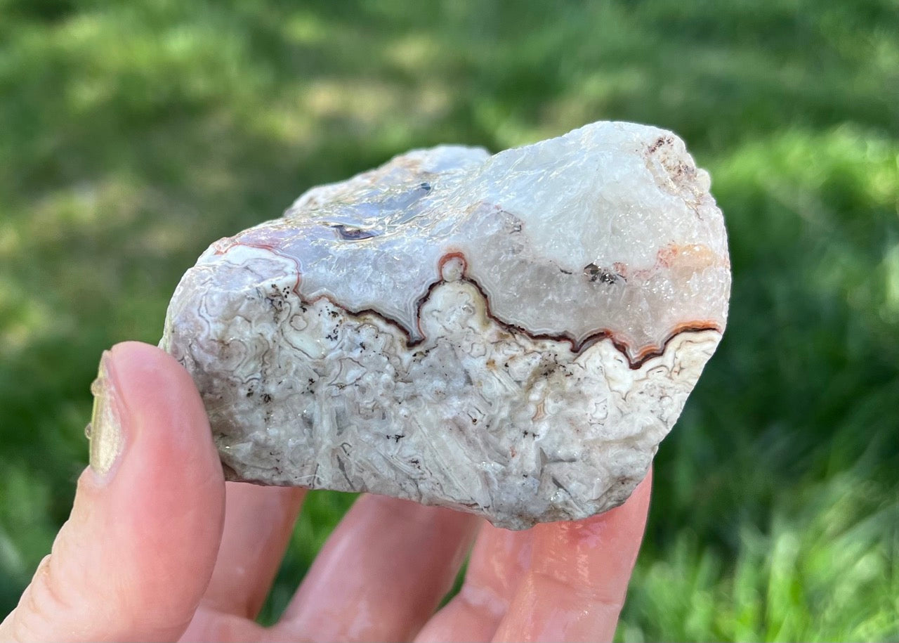 Kaily Lace Agate Lapidary Rough Rock Specimen - Mexican Agates - Lucky Calico Gem & Jewelry Co.