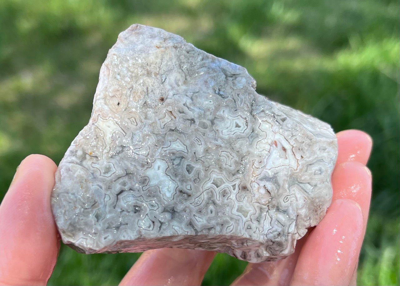 Kaily Lace Agate Lapidary Rough Rock Specimen - Mexican Agates - Lucky Calico Gem & Jewelry Co.