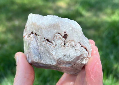 Kaily Lace Agate Lapidary Rough Rock Specimen - Mexican Agates - Lucky Calico Gem & Jewelry Co.