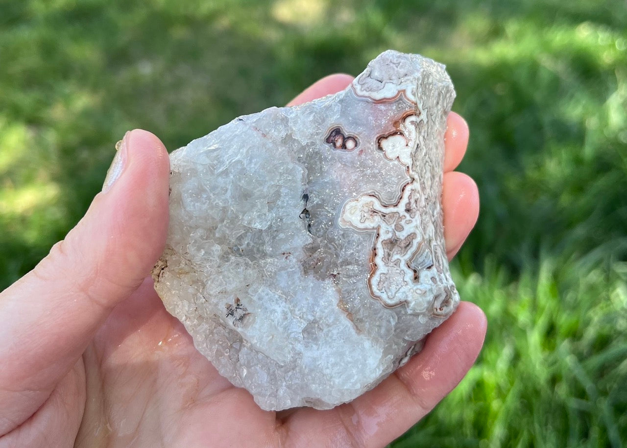 Kaily Lace Agate Lapidary Rough Rock Specimen - Mexican Agates - Lucky Calico Gem & Jewelry Co.