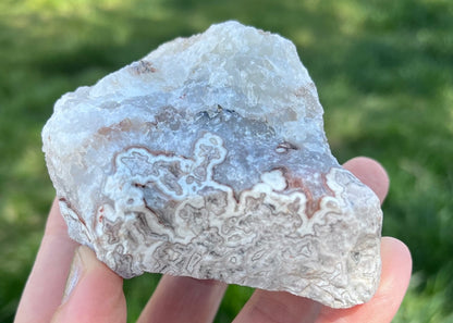 Kaily Lace Agate Lapidary Rough Rock Specimen - Mexican Agates - Lucky Calico Gem & Jewelry Co.