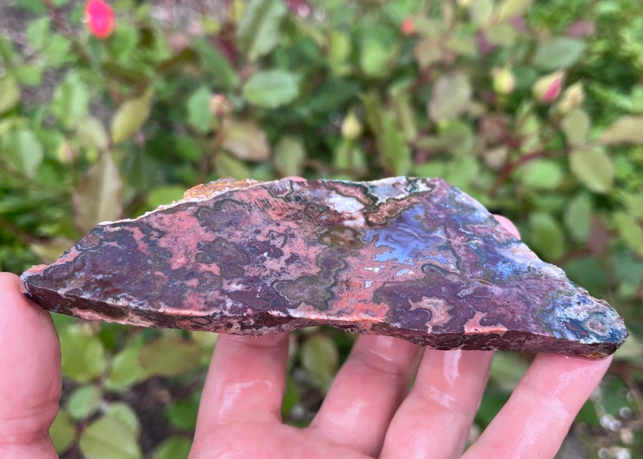 Kerrouchen Morocco Agate Lapidary Rock Slab - Lucky Calico Gem & Jewelry Co.