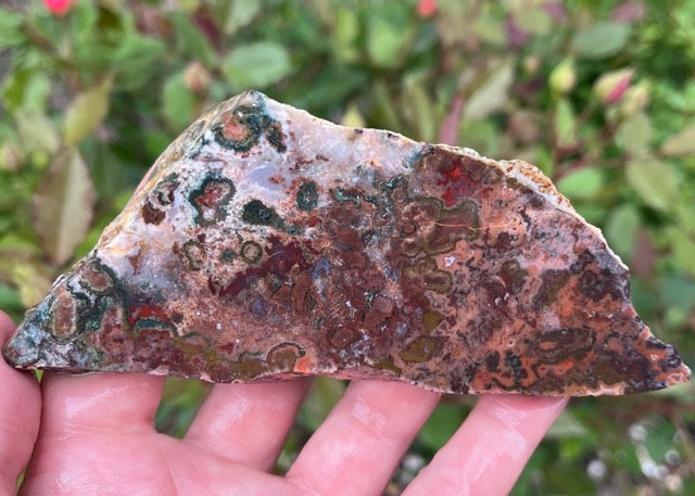 Kerrouchen Morocco Agate Lapidary Rock Slab - Lucky Calico Gem & Jewelry Co.