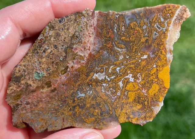 Kerrouchen Morocco Agate Lapidary Rock Slab - Lucky Calico Gem & Jewelry Co.