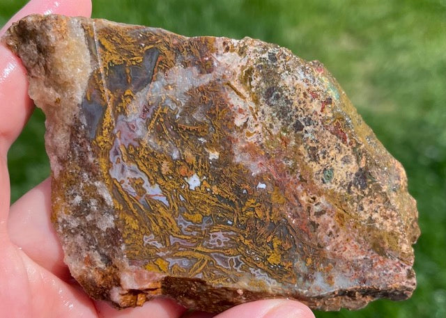 Kerrouchen Morocco Agate Lapidary Rock Slab - Lucky Calico Gem & Jewelry Co.