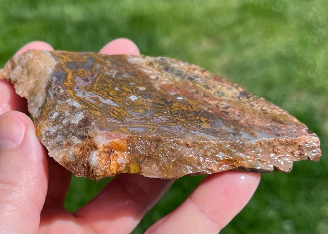 Kerrouchen Morocco Agate Lapidary Rock Slab - Lucky Calico Gem & Jewelry Co.