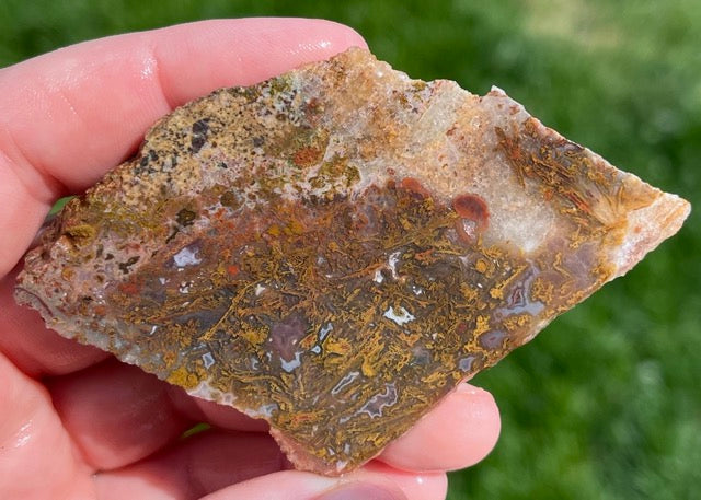 Kerrouchen Morocco Agate Lapidary Rock Slab - Lucky Calico Gem & Jewelry Co.