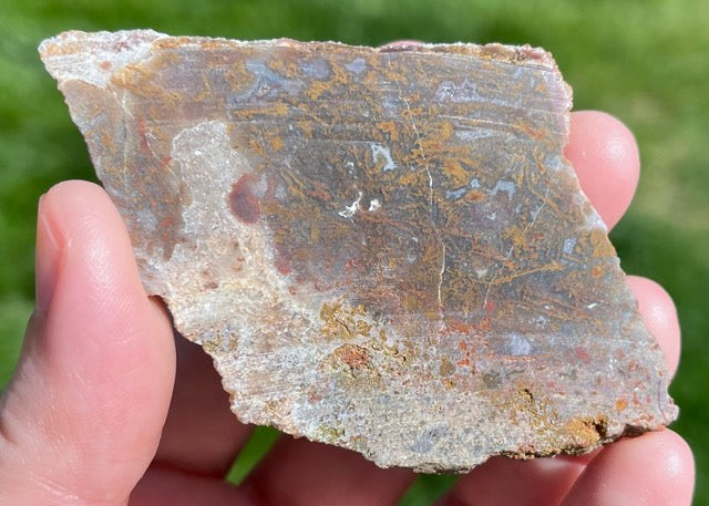 Kerrouchen Morocco Agate Lapidary Rock Slab - Lucky Calico Gem & Jewelry Co.