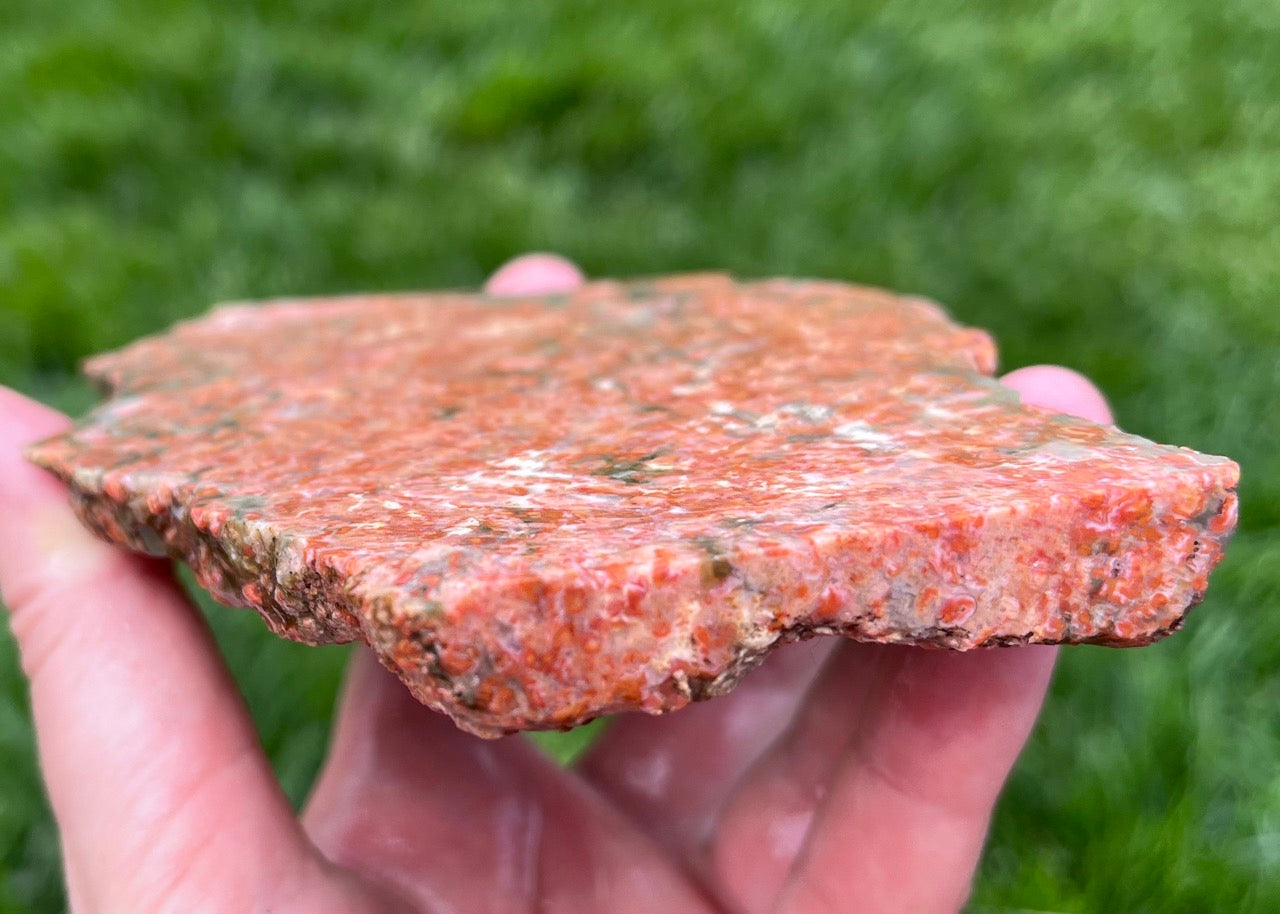 Colorado La Junta Rosebud Agate Lapidary Rock Slab - Lucky Calico Gem & Jewelry Co. Rare Agates