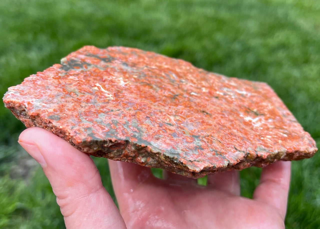 Colorado La Junta Rosebud Agate Lapidary Rock Slab - Lucky Calico Gem & Jewelry Co. Rare Agates