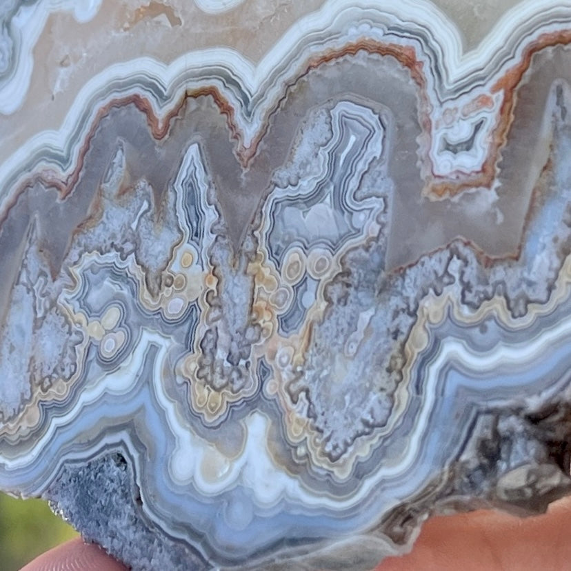 Mexico Laguna Lace Agate Lapidary Rock Slab - Lucky Calico Gem & Jewelry Co. Classic Agates