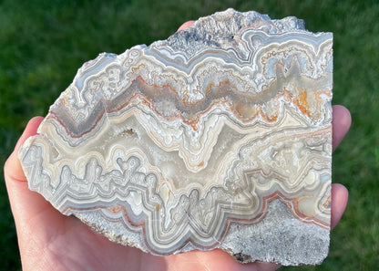 Mexico Laguna Lace Agate Lapidary Rock Slab - Lucky Calico Gem & Jewelry Co. Classic Agates