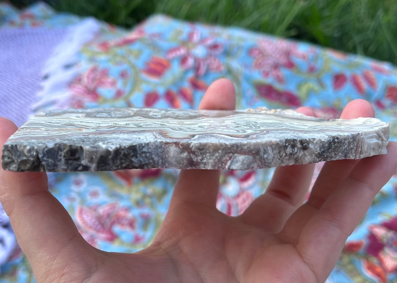 Mexico Laguna Lace Agate Lapidary Rock Slab - Lucky Calico Gem & Jewelry Co. Classic Agates