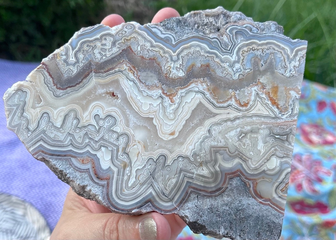 Mexico Laguna Lace Agate Lapidary Rock Slab - Lucky Calico Gem & Jewelry Co. Classic Agates