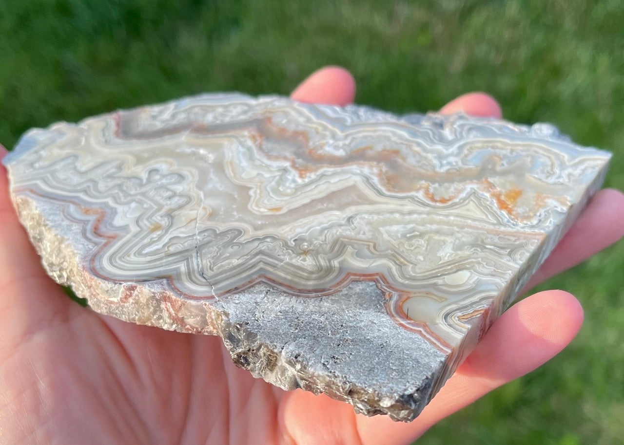 Mexico Laguna Lace Agate Lapidary Rock Slab - Lucky Calico Gem & Jewelry Co. Classic Agates