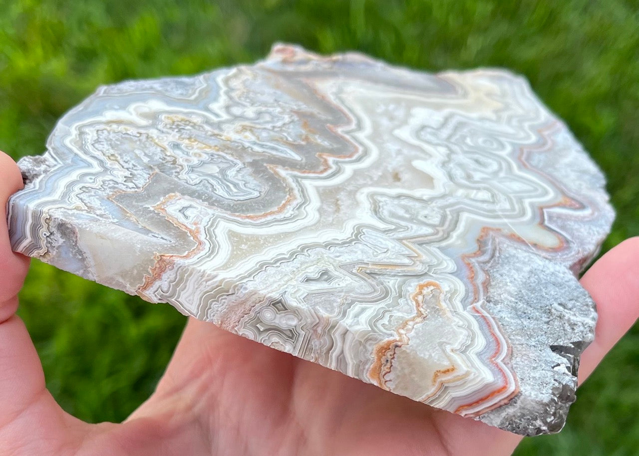 Mexico Laguna Lace Agate Lapidary Rock Slab - Lucky Calico Gem & Jewelry Co. Classic Agates