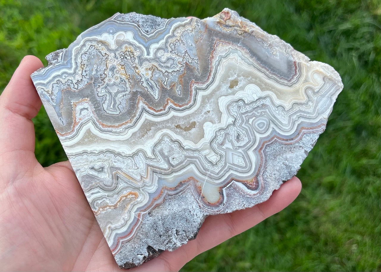 Mexico Laguna Lace Agate Lapidary Rock Slab - Lucky Calico Gem & Jewelry Co. Classic Agates