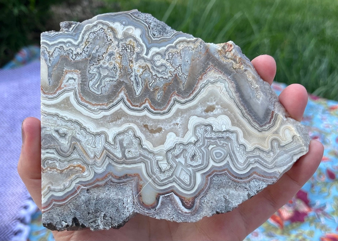 Mexico Laguna Lace Agate Lapidary Rock Slab - Lucky Calico Gem & Jewelry Co. Classic Agates