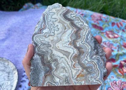 Mexico Laguna Lace Agate Lapidary Rock Slab - Lucky Calico Gem & Jewelry Co. Classic Agates