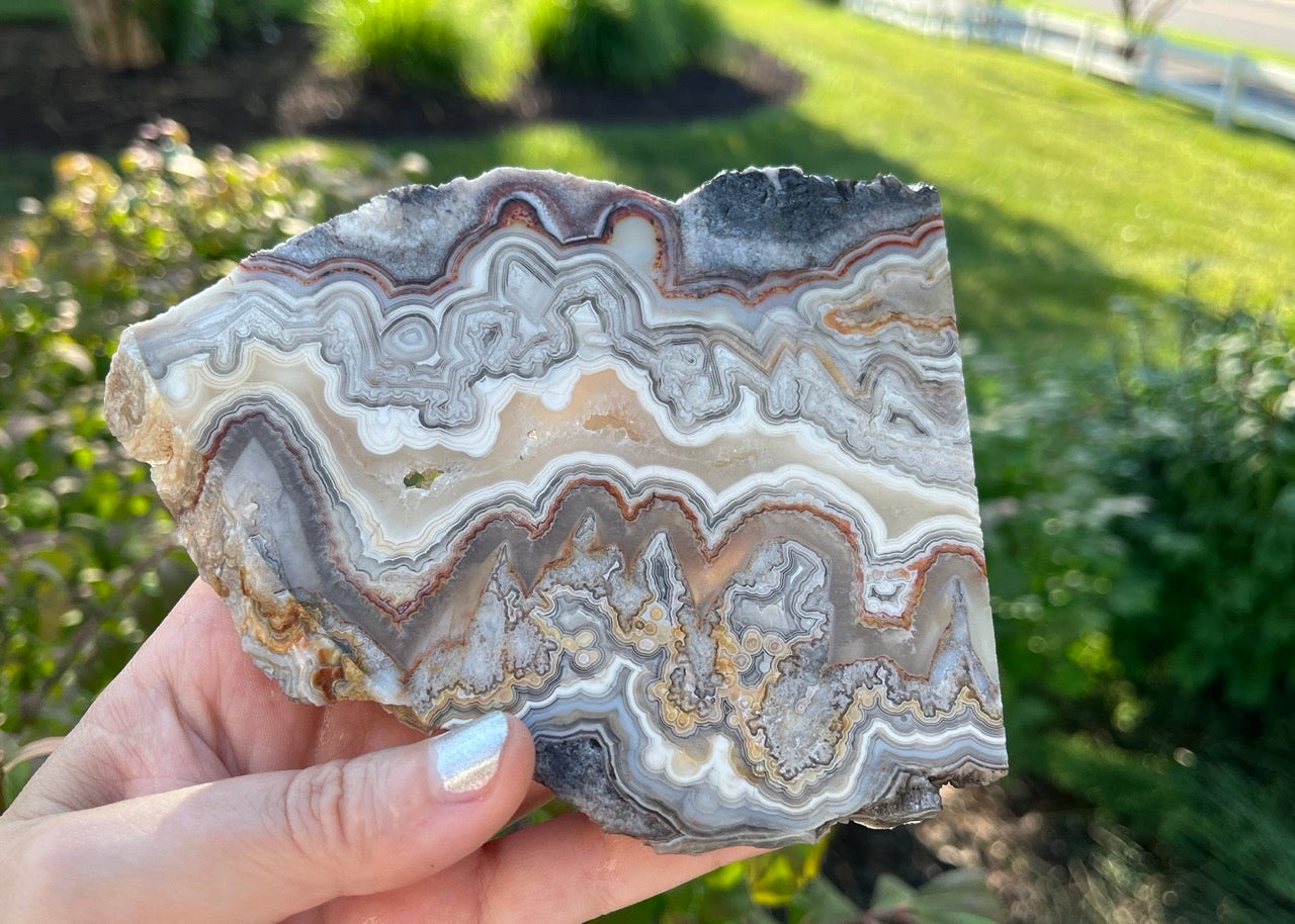 Mexico Laguna Lace Agate Lapidary Rock Slab - Lucky Calico Gem & Jewelry Co. Classic Agates