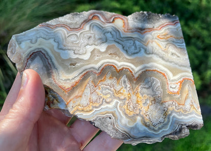 Mexico Laguna Lace Agate Lapidary Rock Slab - Lucky Calico Gem & Jewelry Co. Classic Agates