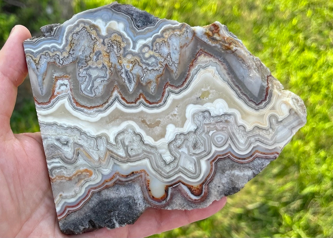 Mexico Laguna Lace Agate Lapidary Rock Slab - Lucky Calico Gem & Jewelry Co. Classic Agates