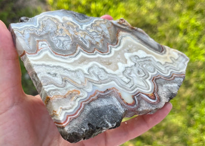 Mexico Laguna Lace Agate Lapidary Rock Slab - Lucky Calico Gem & Jewelry Co. Classic Agates