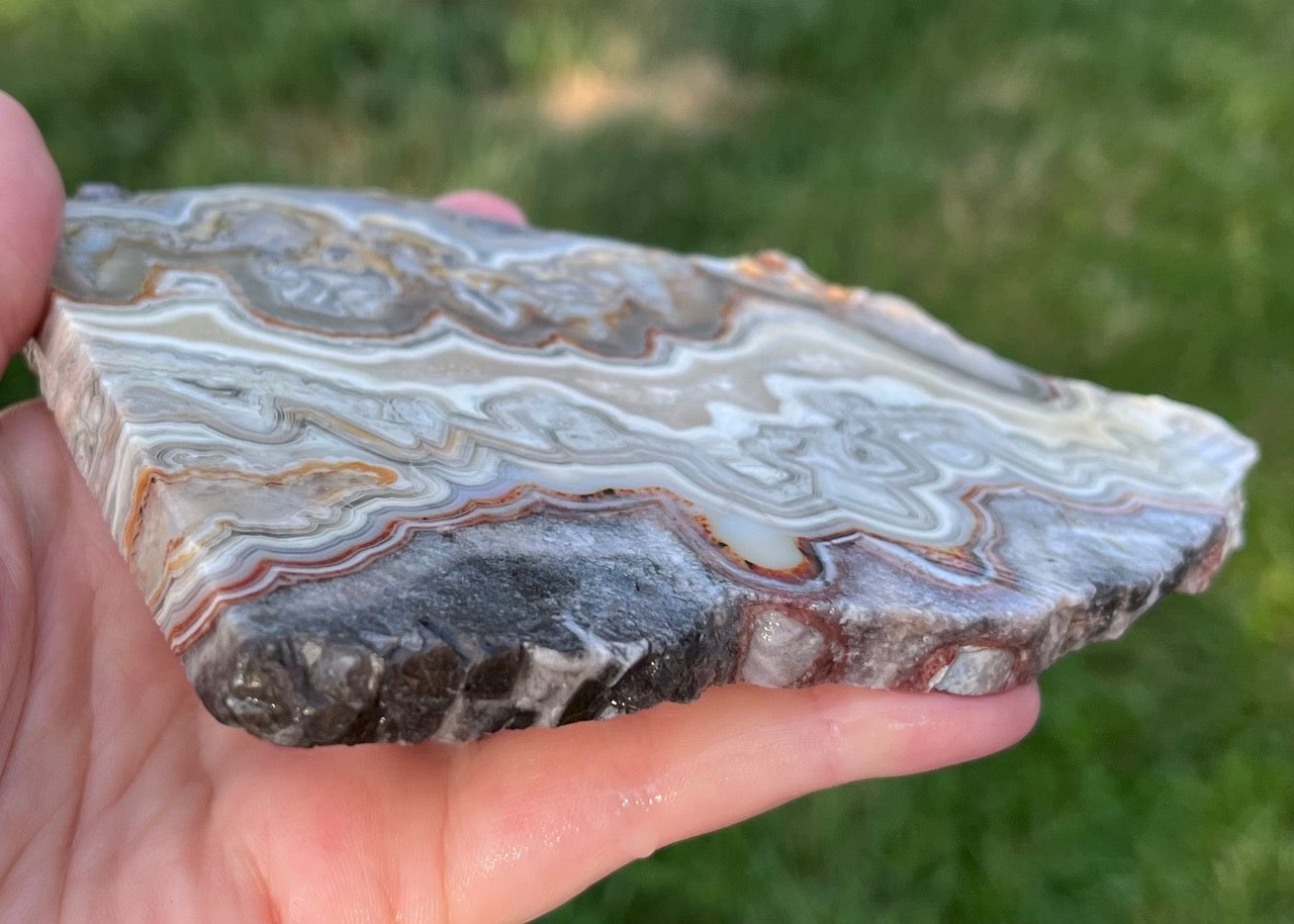 Mexico Laguna Lace Agate Lapidary Rock Slab - Lucky Calico Gem & Jewelry Co. Classic Agates