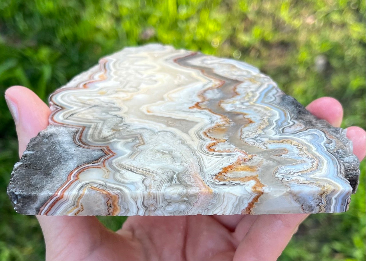 Mexico Laguna Lace Agate Lapidary Rock Slab - Lucky Calico Gem & Jewelry Co. Classic Agates