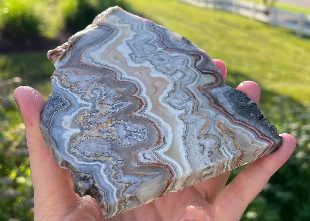 Mexico Laguna Lace Agate Lapidary Rock Slab - Lucky Calico Gem & Jewelry Co. Classic Agates