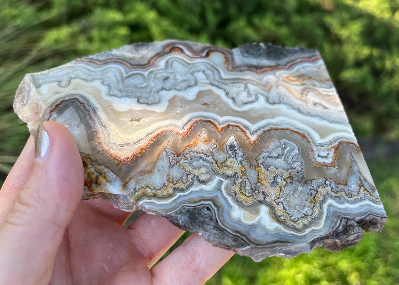 Mexico Laguna Lace Agate Lapidary Rock Slab - Lucky Calico Gem & Jewelry Co. Classic Agates