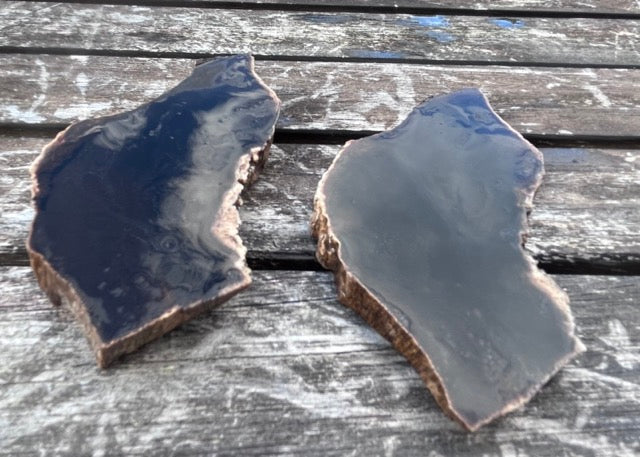 Louisiana Petrified Fossil Palm Wood Lapidary Rock Slabs - Lucky Calico Gem & Jewelry Co.