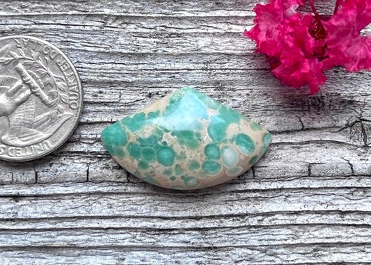 Lucin Spiderweb Variscite Trillion Cabochon - Lucky Calico Gem & Jewelry Co.