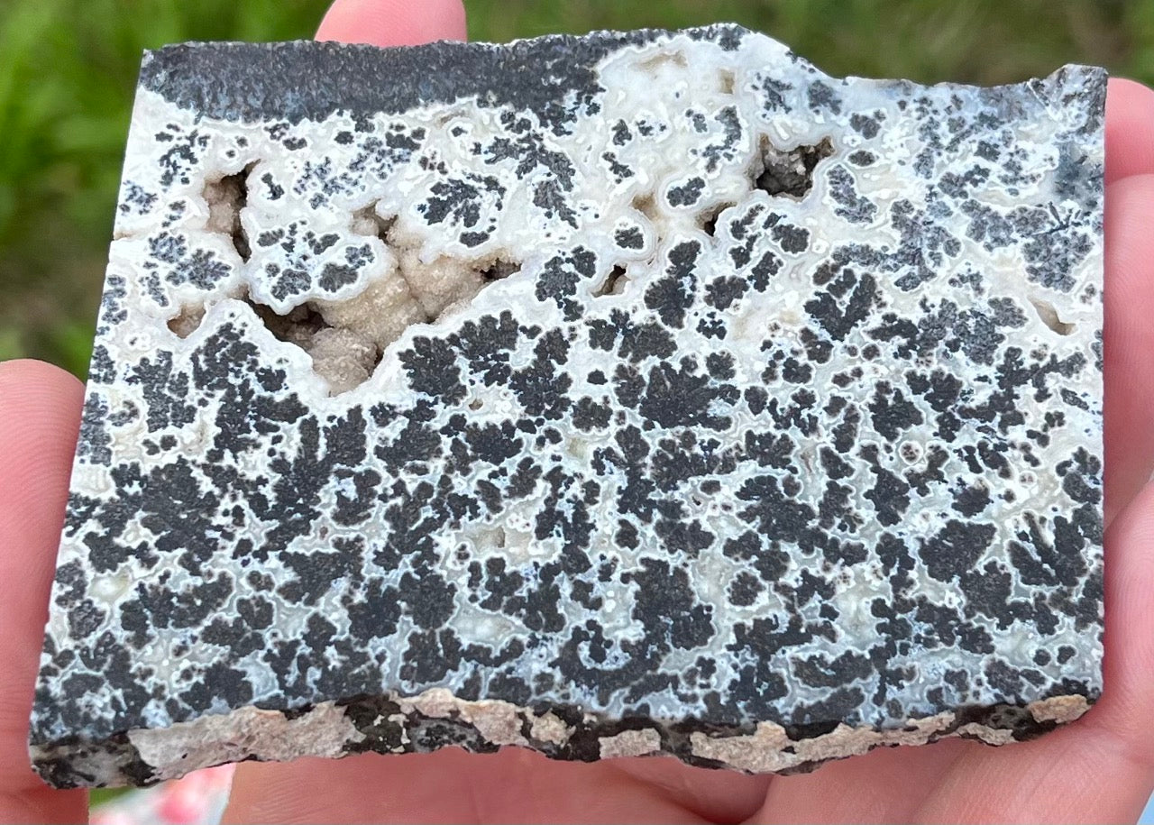 Wyoming Medicine Bow Dendritic Agate Lapidary Rock Slab - Lucky Calico Gem & Jewelry Co.