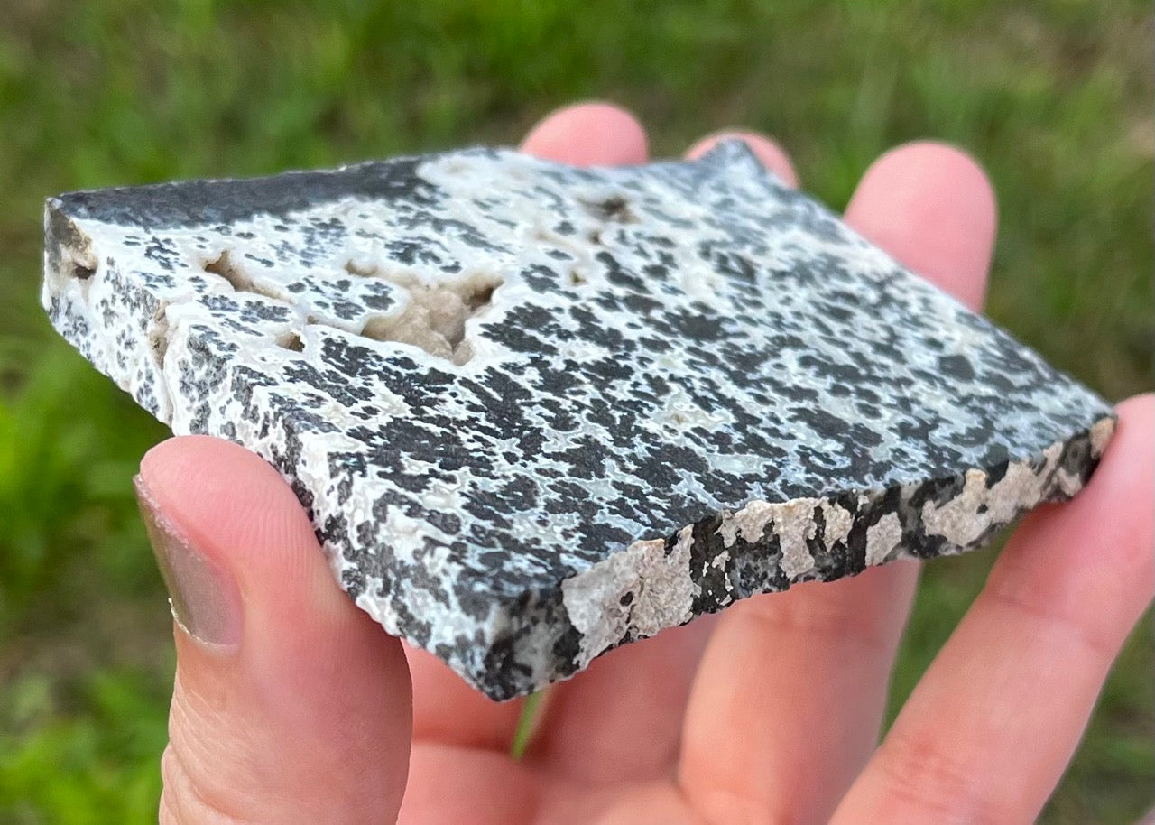 Wyoming Medicine Bow Dendritic Agate Lapidary Rock Slab - Lucky Calico Gem & Jewelry Co.