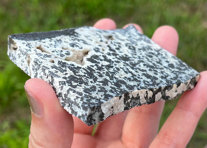 Wyoming Medicine Bow Dendritic Agate Lapidary Rock Slab - Lucky Calico Gem & Jewelry Co.