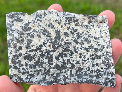 Wyoming Medicine Bow Dendritic Agate Lapidary Rock Slab - Lucky Calico Gem & Jewelry Co.