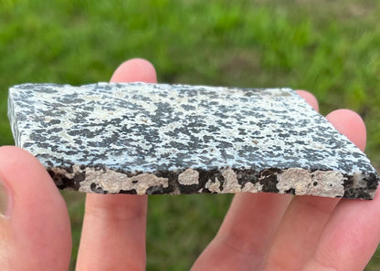 Wyoming Medicine Bow Dendritic Agate Lapidary Rock Slab - Lucky Calico Gem & Jewelry Co.