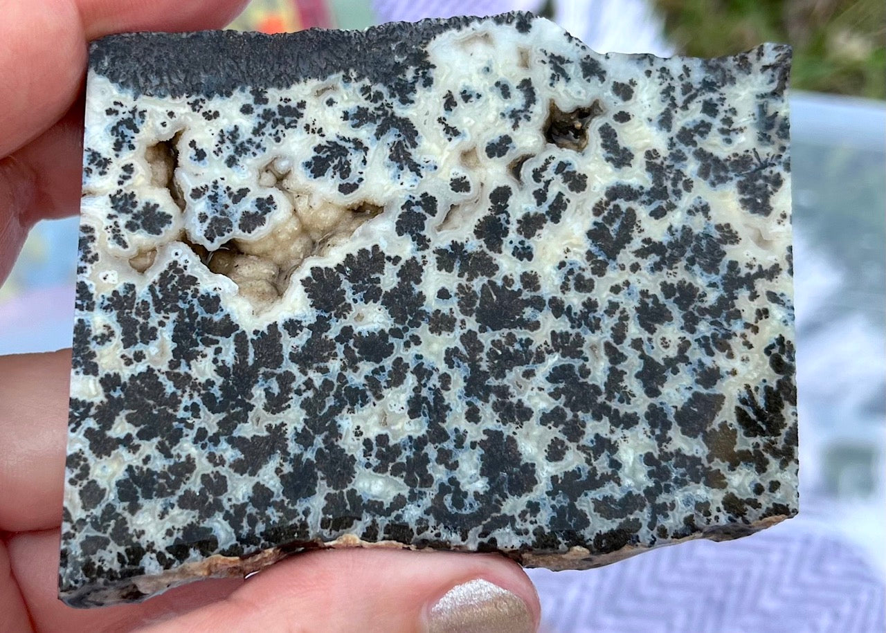 Wyoming Medicine Bow Dendritic Agate Lapidary Rock Slab - Lucky Calico Gem & Jewelry Co.