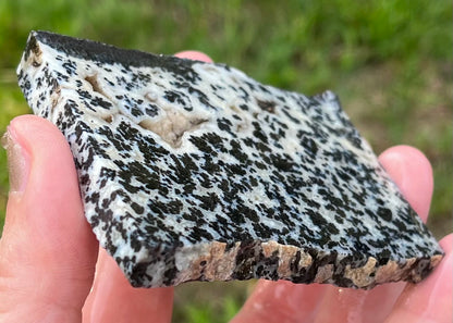 Wyoming Medicine Bow Dendritic Agate Lapidary Rock Slab - Lucky Calico Gem & Jewelry Co.