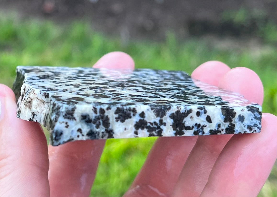 Wyoming Medicine Bow Dendritic Agate Lapidary Rock Slab - Lucky Calico Gem & Jewelry Co.