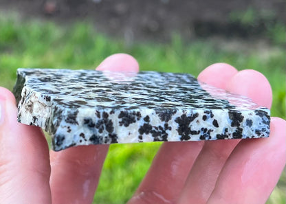 Wyoming Medicine Bow Dendritic Agate Lapidary Rock Slab - Lucky Calico Gem & Jewelry Co.