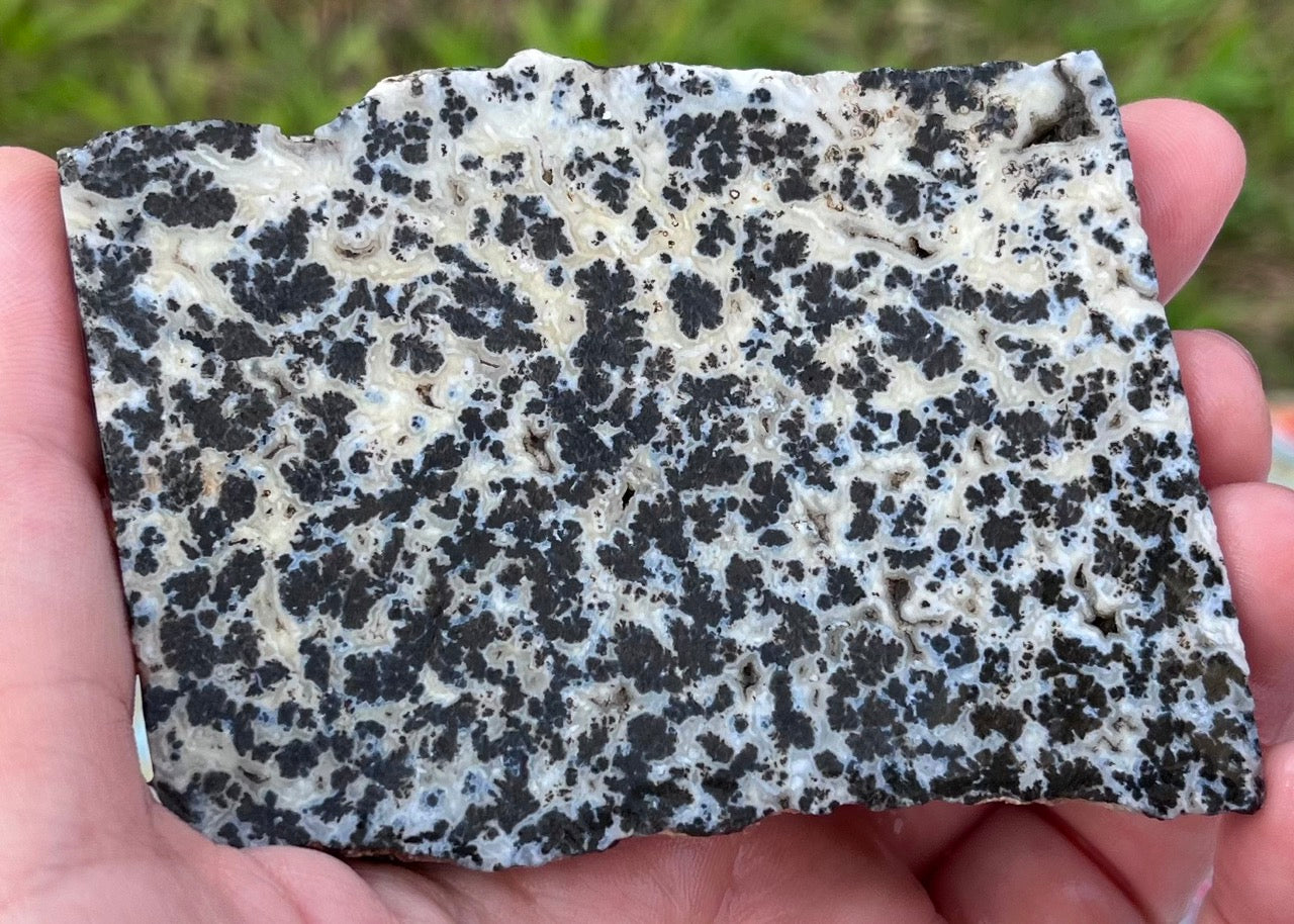 Wyoming Medicine Bow Dendritic Agate Lapidary Rock Slab - Lucky Calico Gem & Jewelry Co.